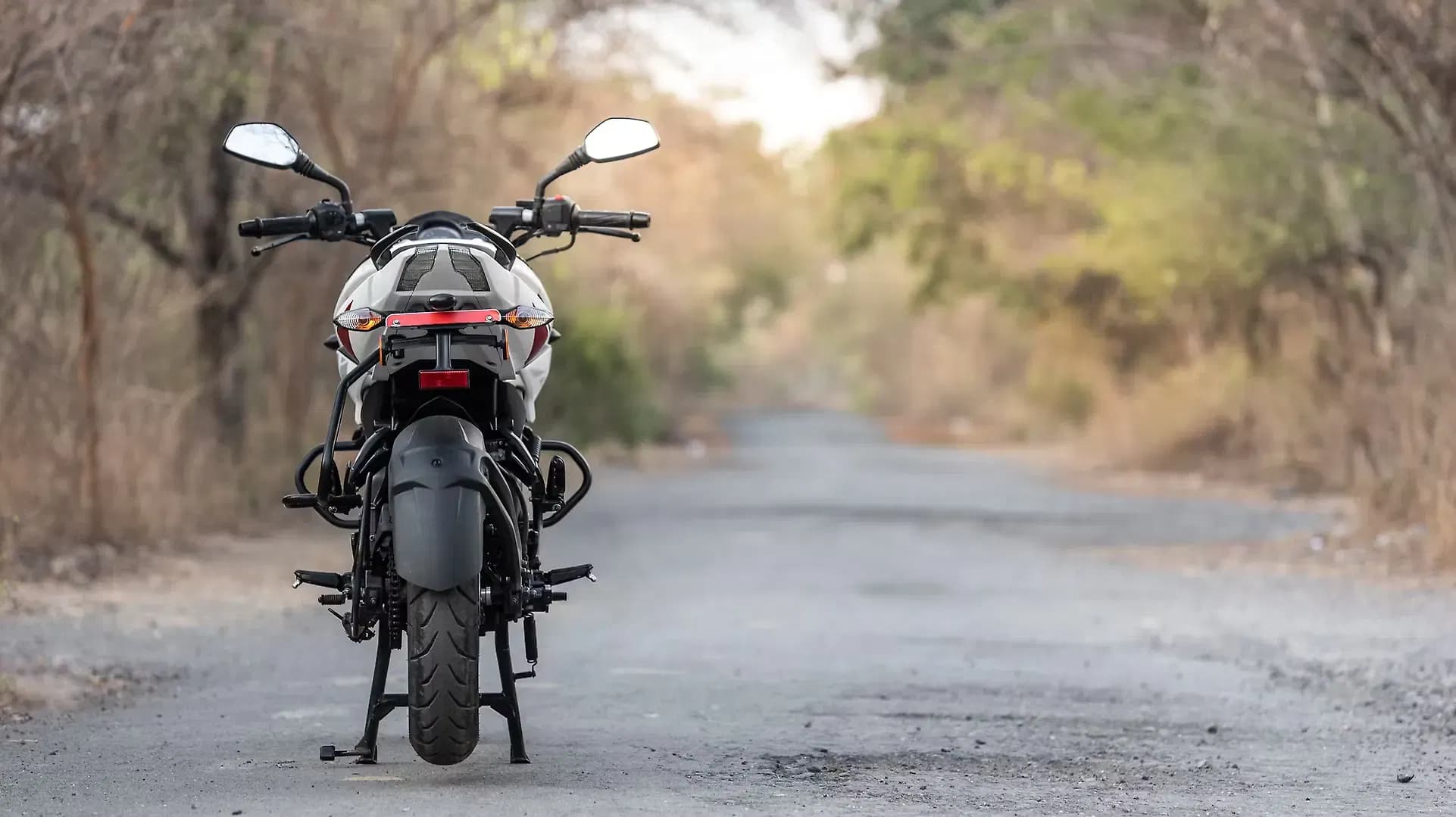 Bajaj Pulsar NS160 Rear View