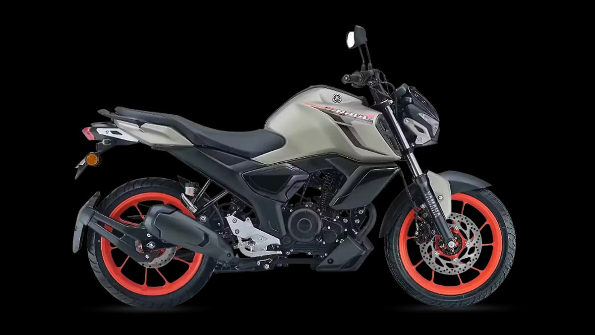 FZ Rave