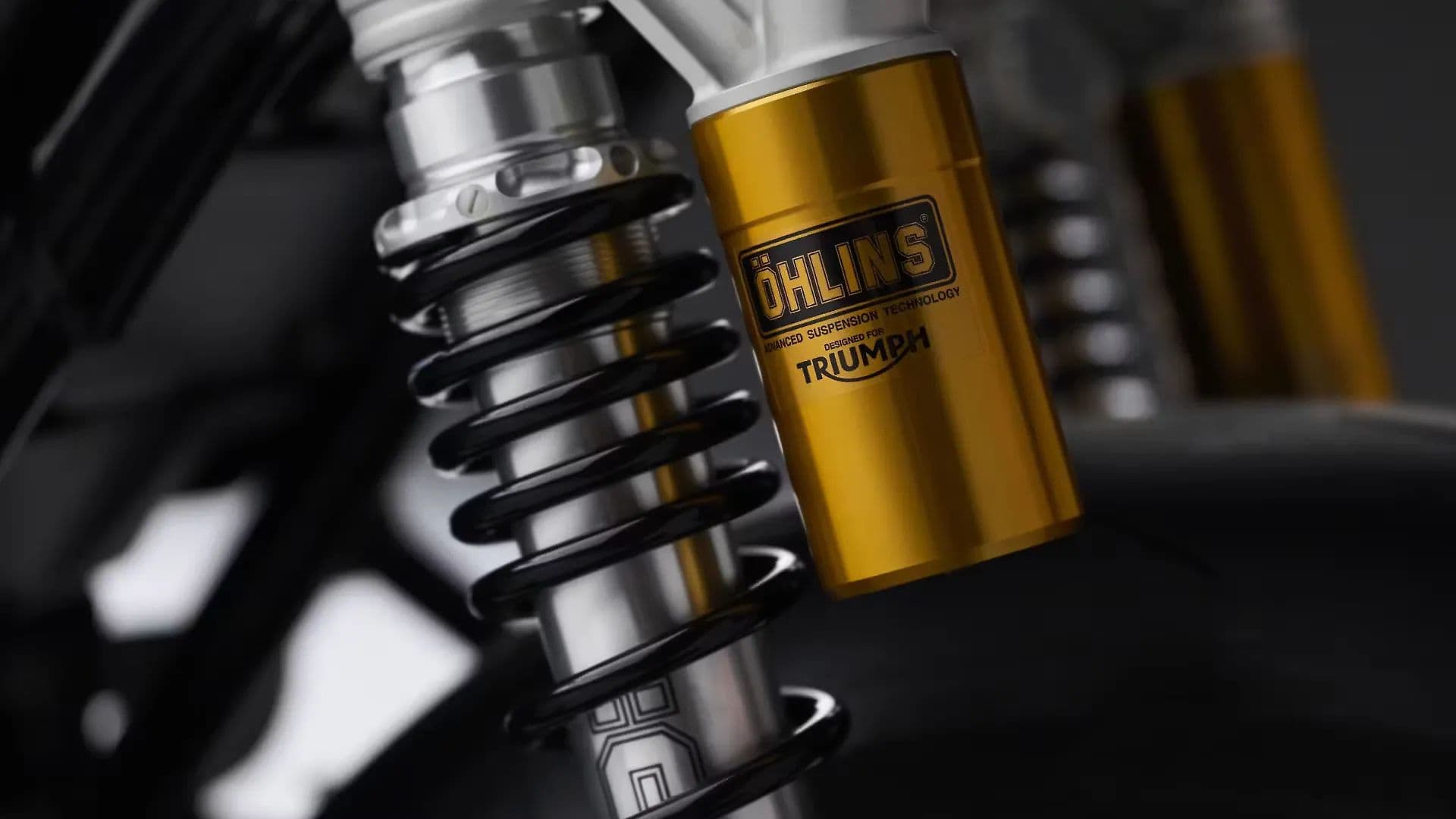 Triumph Speed Twin 1200 TFC Rear Suspension