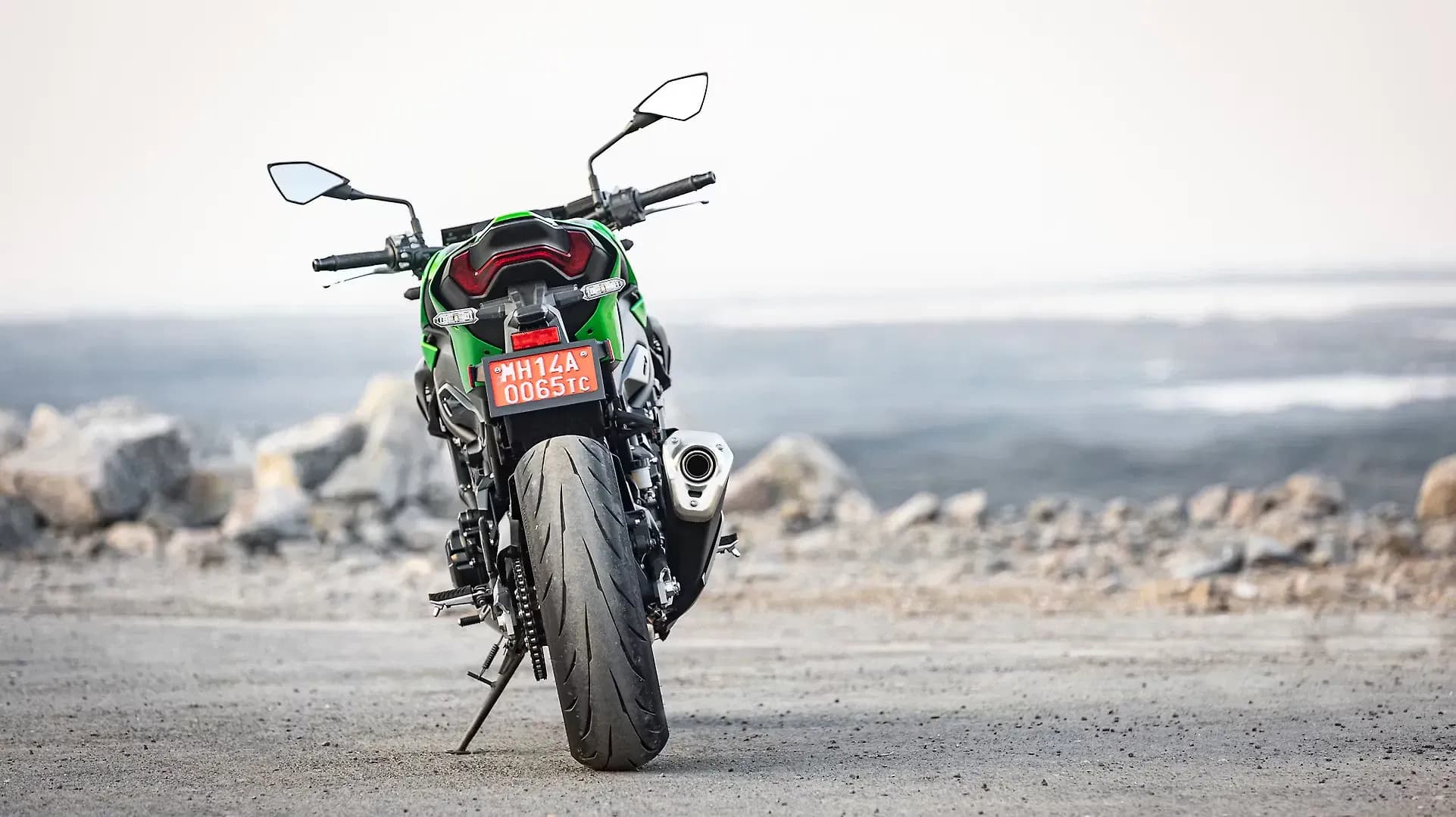 Kawasaki Z900 Rear View