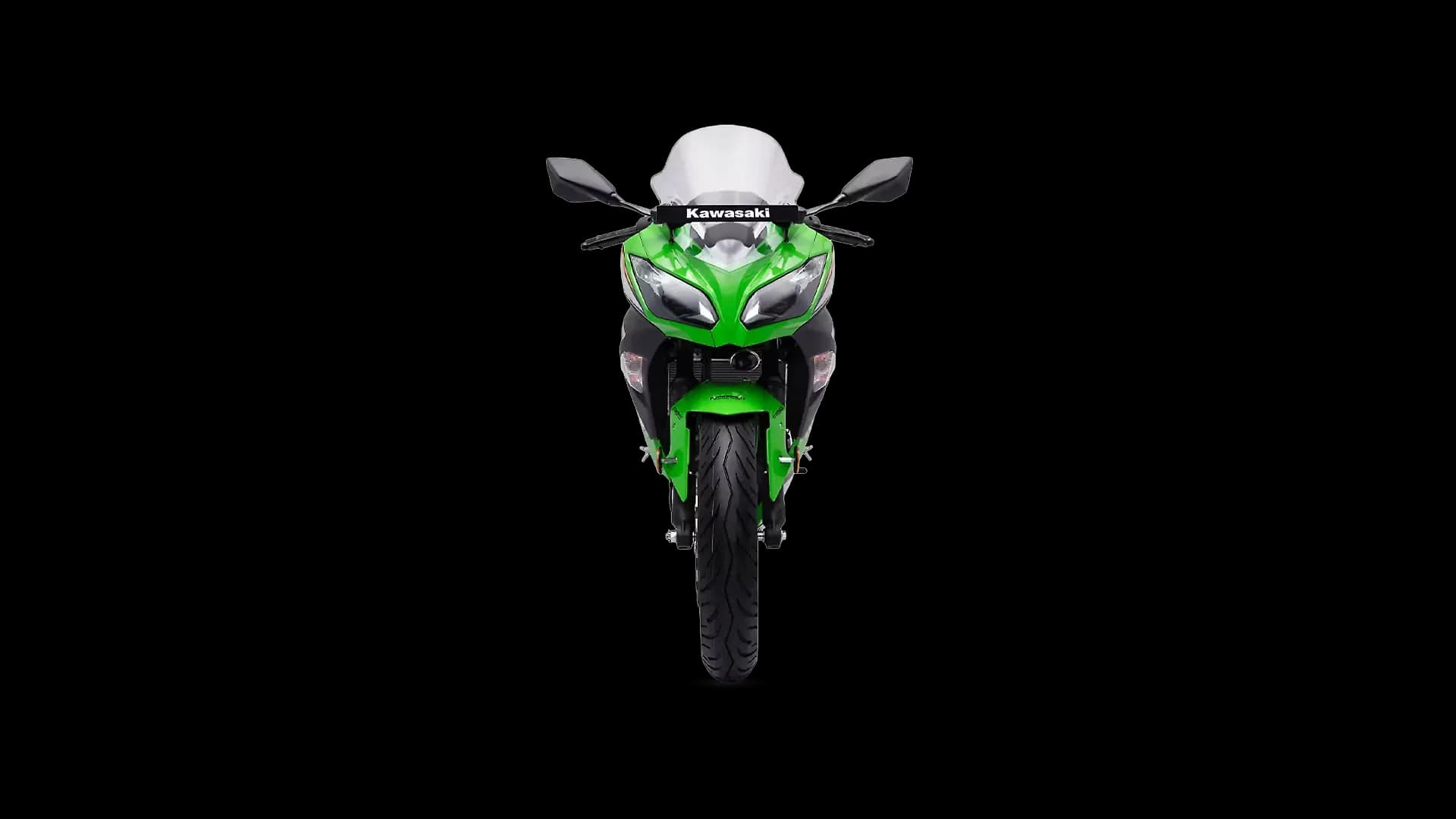Kawasaki Ninja 300 Front View