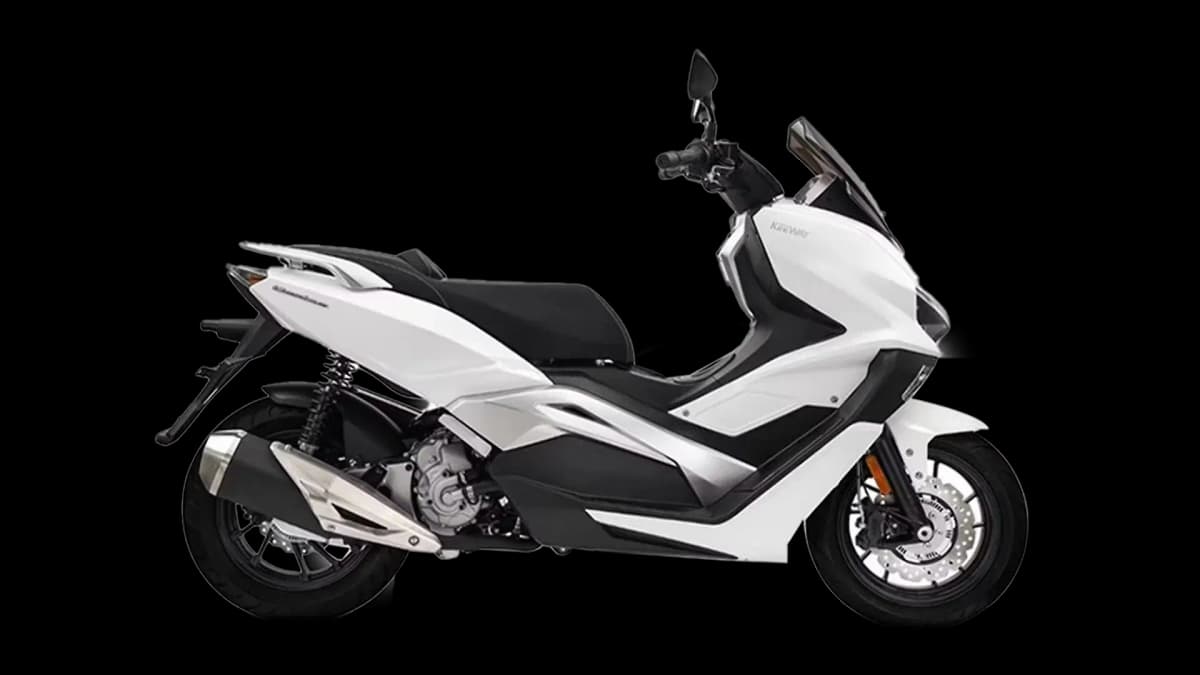 Vieste 300