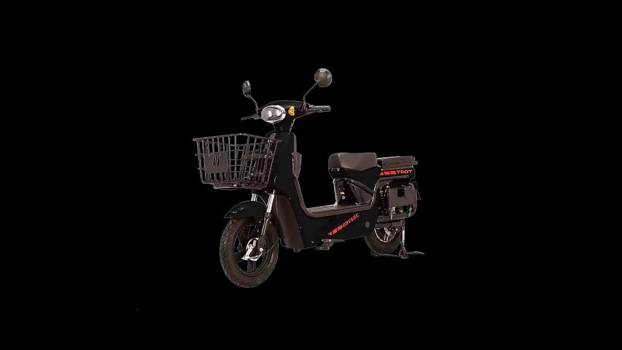 Odysse Trot in Black