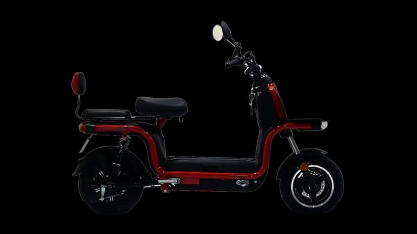 Okinawa Dual 100